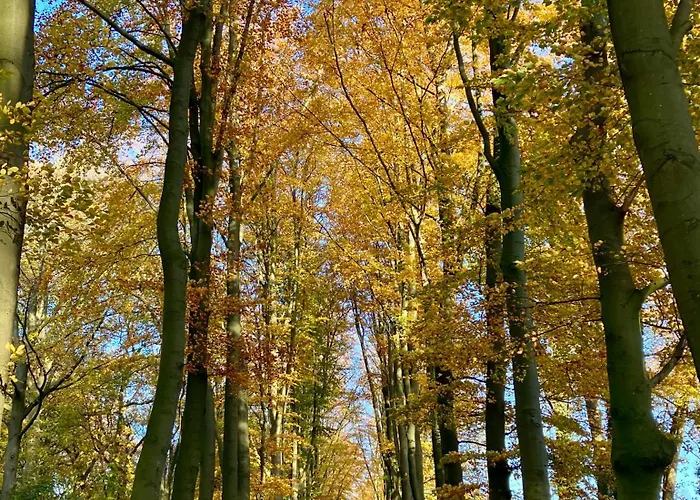 Гостевой дом Waerdenhoeve